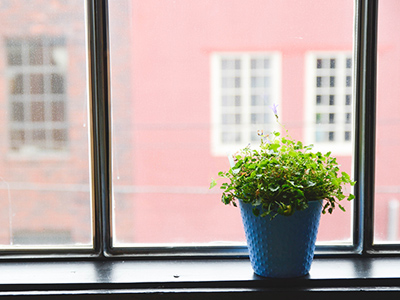 自动攻击网站工具下载